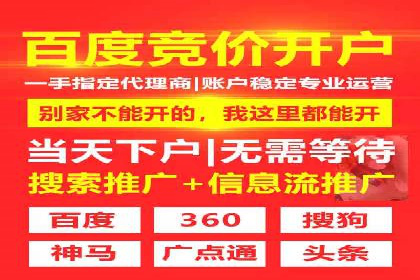 成功SEM服务案例：优化广告投放
